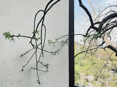 -雅达·阳羡溪山小镇中心