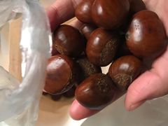 鑫鑫栗王现炒板栗-鑫鑫栗王(吉祥商城店)