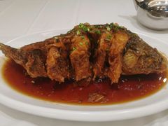 老济南糖醋鲤鱼-金春禧(世茂国际广场店)