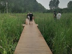 -东郊湿地公园