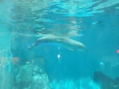 -福州罗源湾海洋世界旅游区