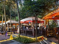 -二荆条·蜀鲜汇城市森林火锅