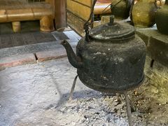 -西双版纳原始森林公园
