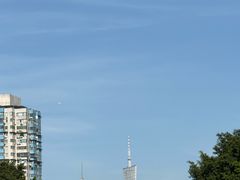 -晓港公园