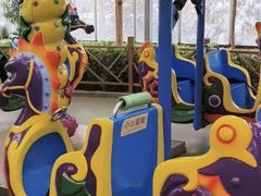 -南宫五洲植物乐园