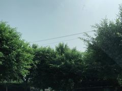 -周老三跷脚牛肉·全牛火锅(非遗传承店)