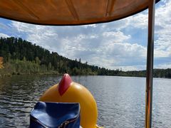 -五营红松林海景区