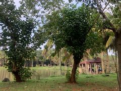 -白沙门生态公园