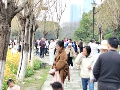 -艾溪湖湿地公园