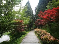 -四明山国家森林公园
