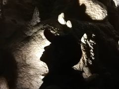 -怀托摩萤火虫洞