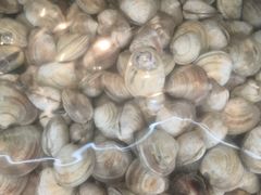 -沿海渔家院蒸汽海鲜·东北菜(东戴河店)