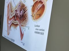 -自然之声助听器·呼吸机(康桥旗舰店)
