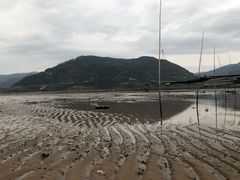 -北岐滩涂