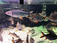 -太平洋海底世界