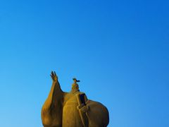 -西安汉城湖景区