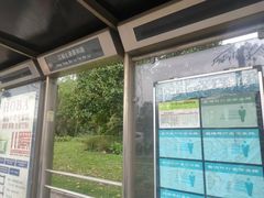 -江杨农产品批发市场