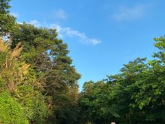 -风云岭森林公园