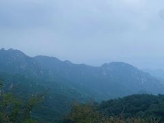 -大岭沟猕猴桃谷风景区