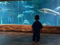 -华夏文旅海洋公园