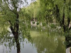 -咸阳湖景区-古渡公园