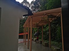 -火炉山森林公园