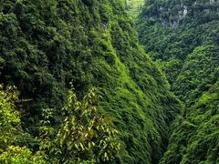 -阿依河景区