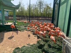 -秦皇岛野生动物园
