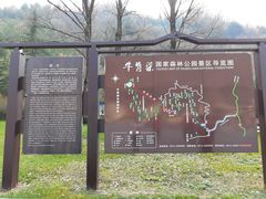 -牛背梁国家森林公园