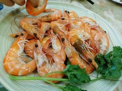 -OLD TREE老树咖啡·西餐厅(台山人工湖店)