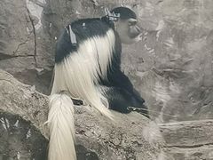 -南昌动物园
