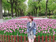 -上海鲜花港