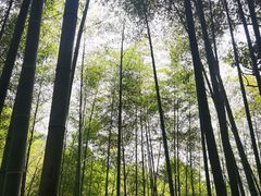-五泄景区