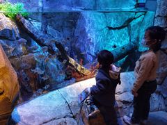 -沈阳海洋探索中心