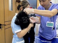 -博特宠物医院24h犬猫全科.骨科·异宠