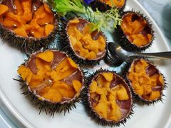 小平岛深水黑海胆-南山酒肆(南山董事绘店)