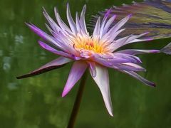 -国家植物园南园