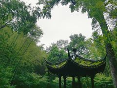 -云栖竹径