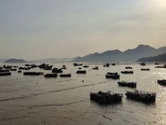 -北岐滩涂