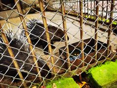 -哈尔滨北方森林动物园