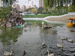 -团结湖公园