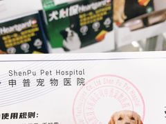 -申普宠物医院·心脏介入·心血管微创(总院)