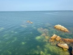 -养马岛旅游度假区