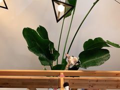 -长颈鹿咖啡(大学路店)