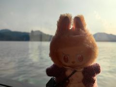 -柳莺湖上·湖景餐厅·江南菜(西湖店)