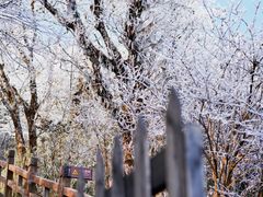 -梵净山旅游区