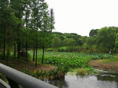 -尚贤河湿地
