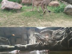 -武汉动物园
