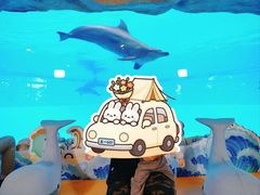 -横琴湾水世界