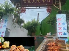 -正宗火盆自助烧烤·烤全羊·柴火鸡(龙泉山店)